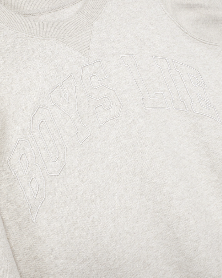 Close-up of a light heather gray crewneck sweatshirt featuring a tonal, arched &