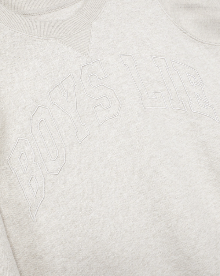 Close-up of a light heather gray crewneck sweatshirt featuring a tonal, arched &