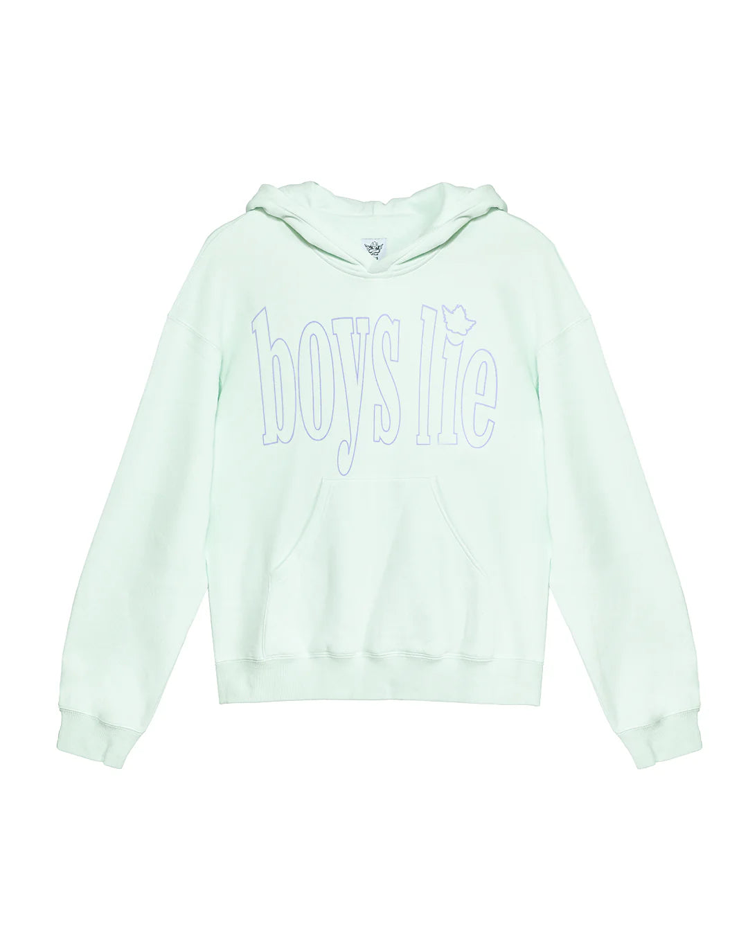 Light green hoodie with 'boys lie' text on a white background