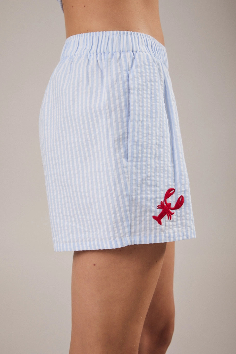 Light blue checkered skirt with a red lobster design on a neutral background