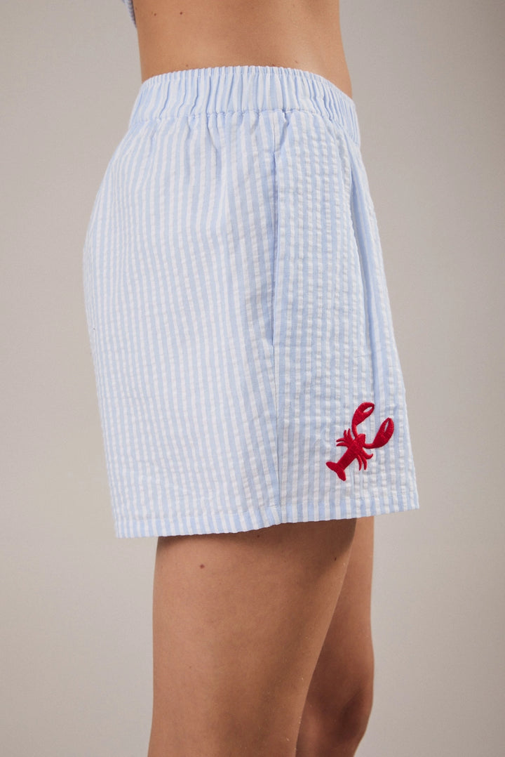 Light blue checkered skirt with a red lobster design on a neutral background