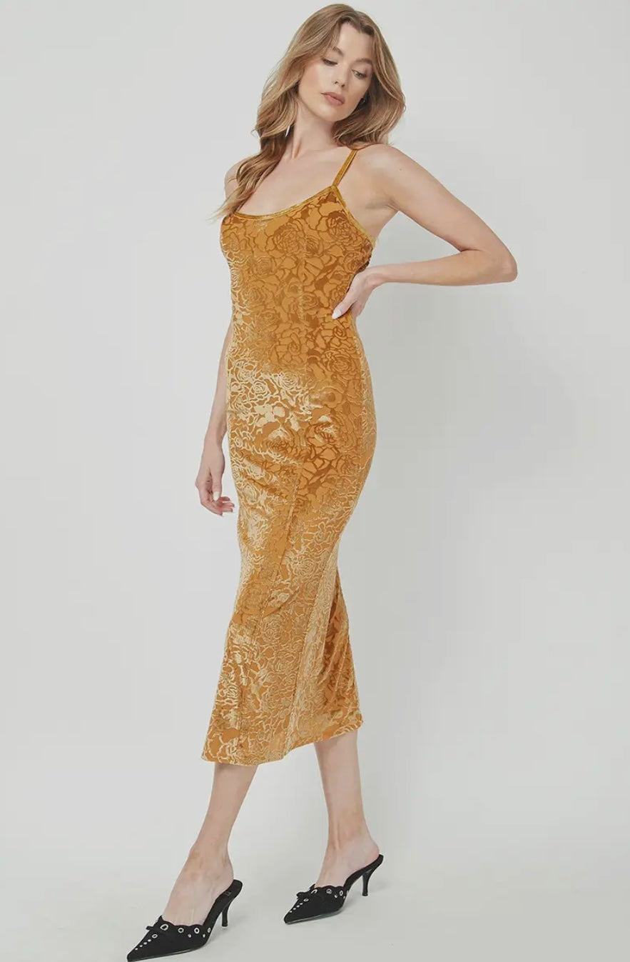 Burnout Velvet Cami Maxi Dress