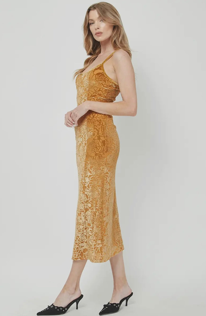 Burnout Velvet Cami Maxi Dress
