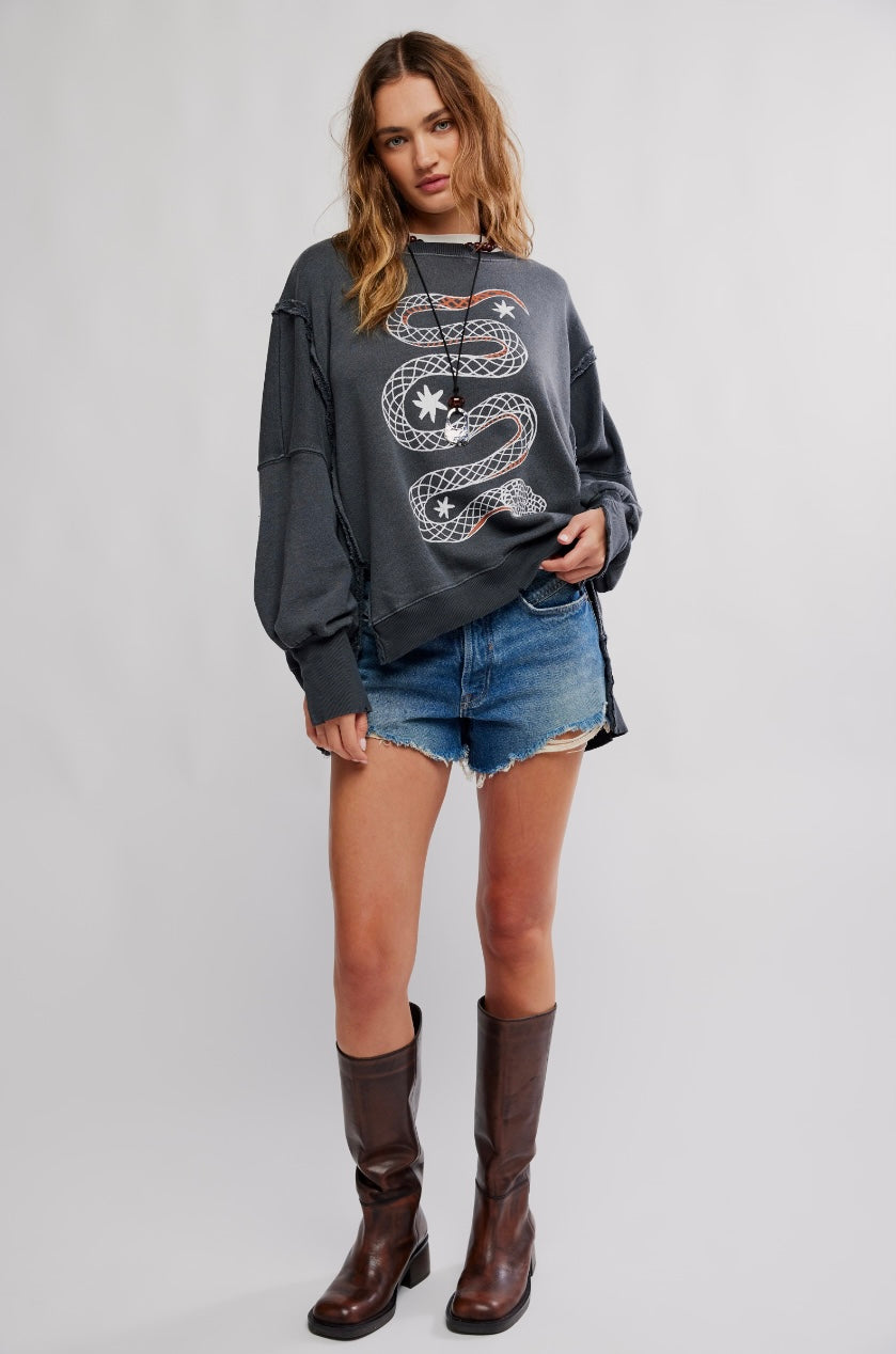 We The Free Graphic Camden Pullover