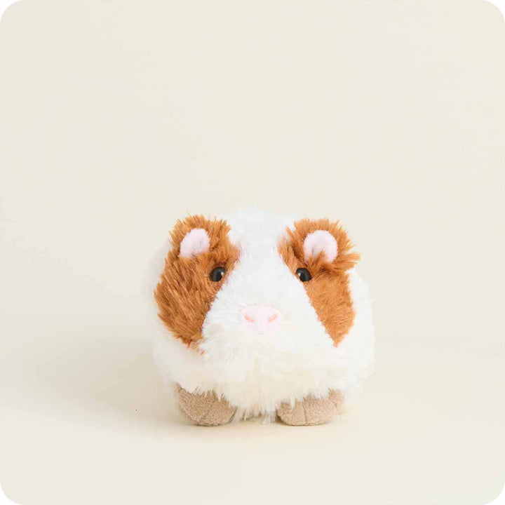 Plush toy guinea pig on a white background