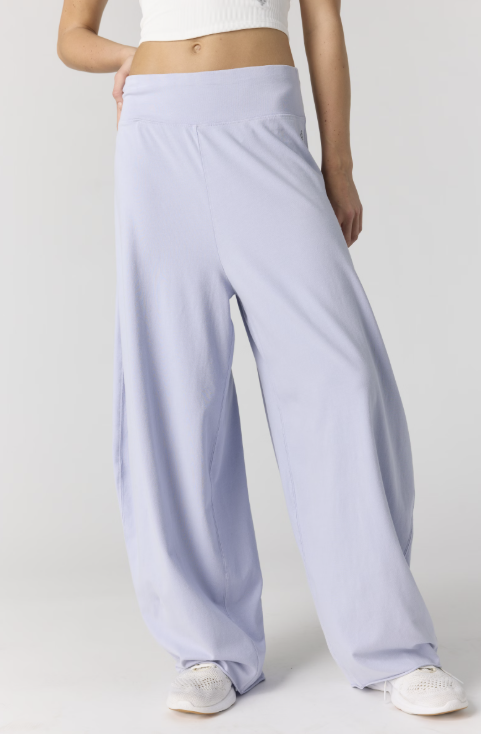 Woman wearing purple pants on plain background
