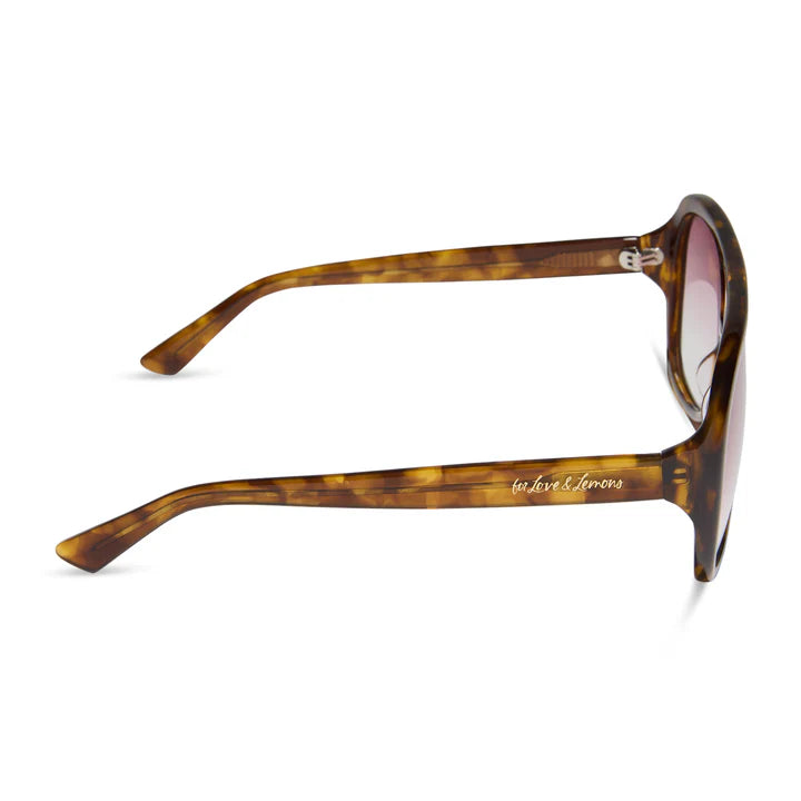 Tortoise sunglasses on white background