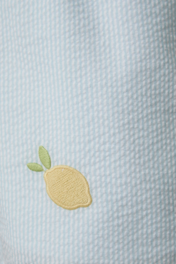 Close up of light blue embroidered shorts