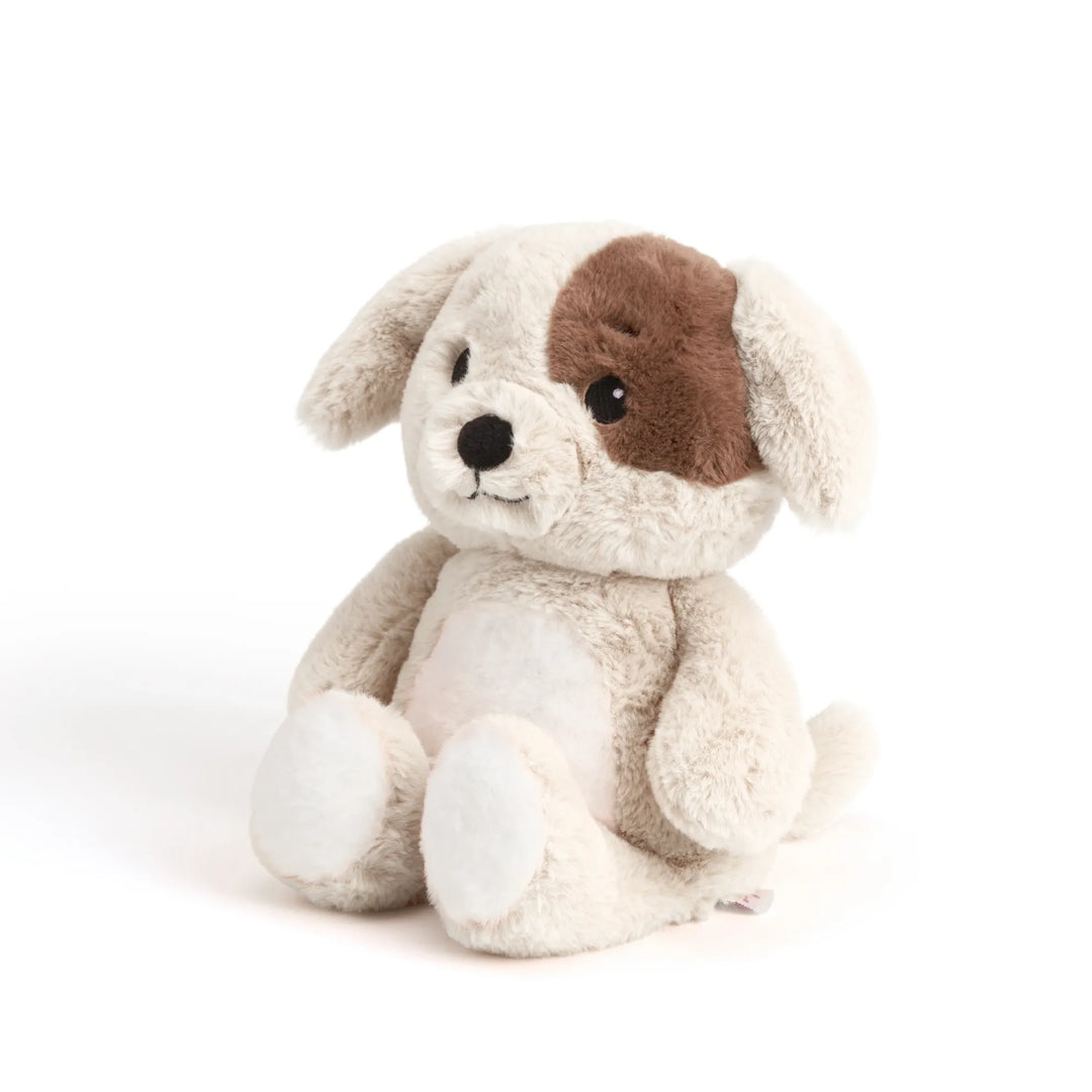 Stuffed animal dog on white background